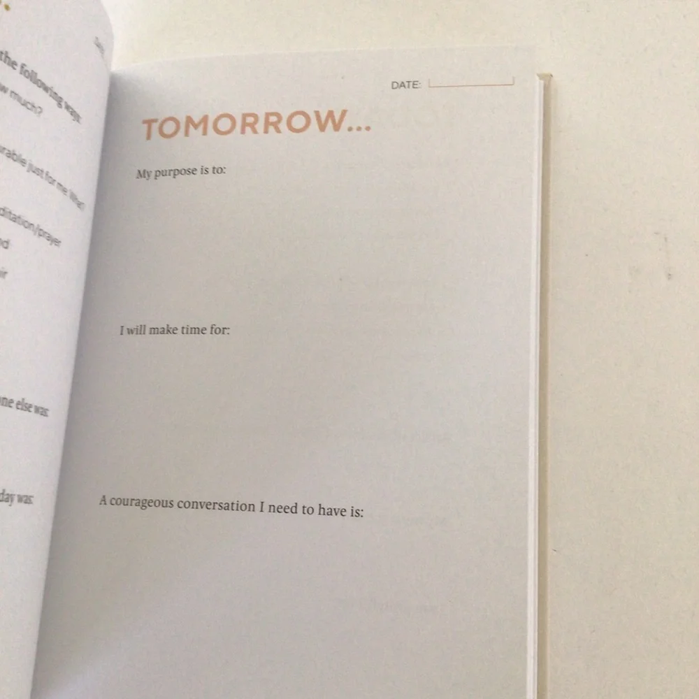 CHRONICLE BOOKS CALM THE CHAOS DAILY JOURNAL NWT